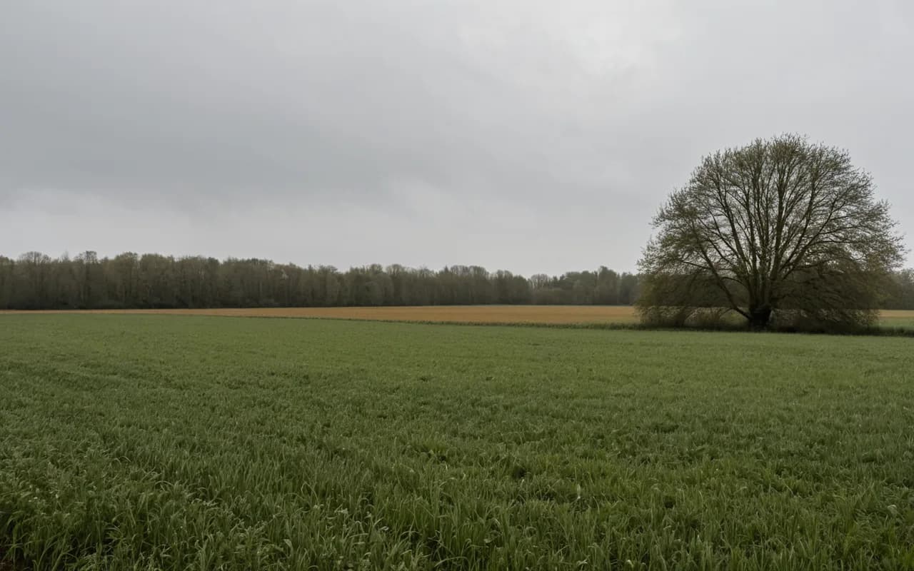 Enschede