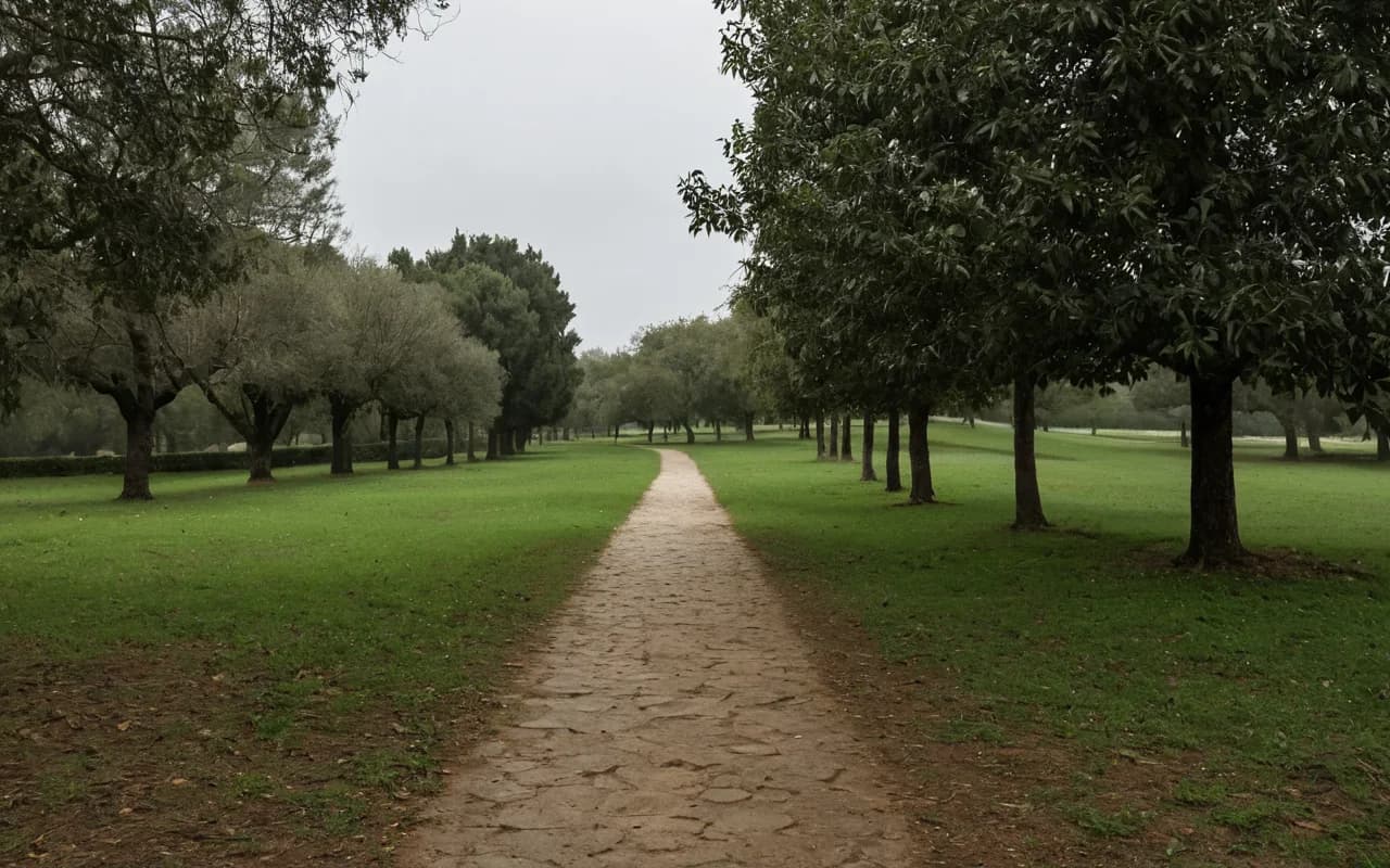 Setúbal - Portekiz